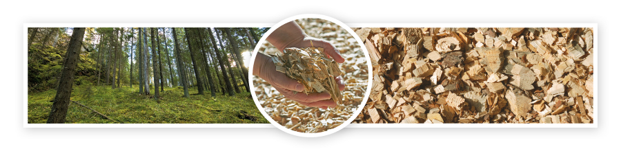 Bild av skog och flis