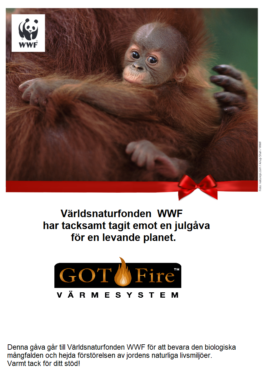 Bild gåvobevis julgåva Världsnaturfonden 