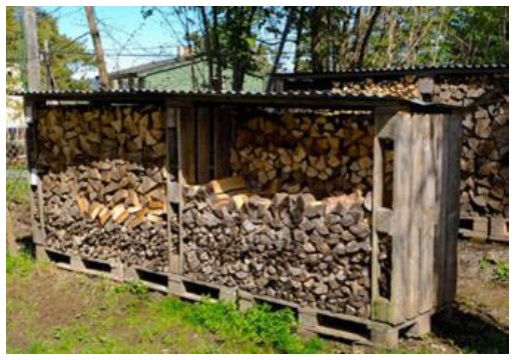 Bild på en vedtrave